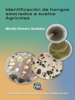 cover image of Identificación de hongos asociados a suelos agrícolas